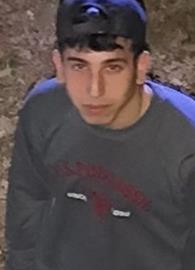 bedirhnx29