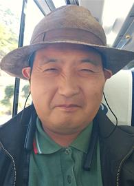Gori