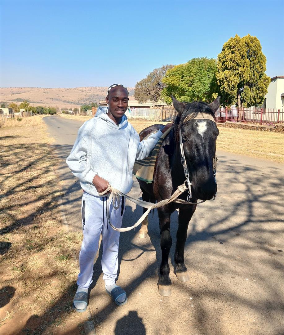ntuli