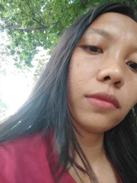 rose16