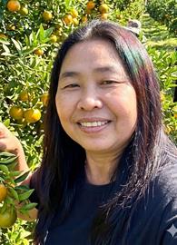 Pikulpsiri