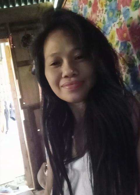 mayet41