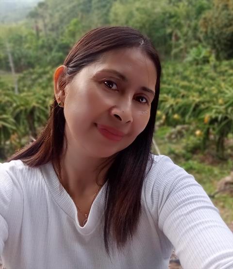 Gieshine13