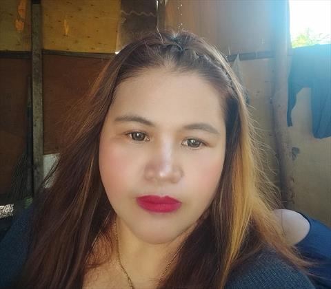 lyzel 11
