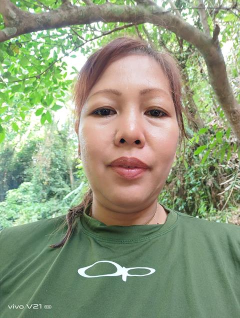 gelai