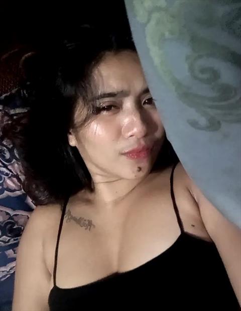 vanisafour