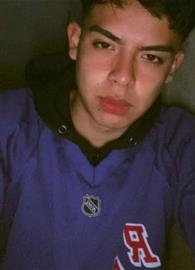 David 4