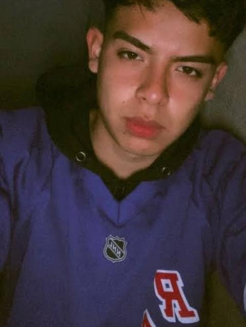 David 4