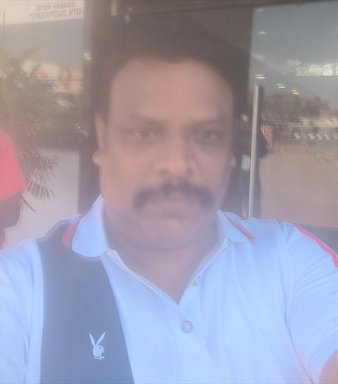 safiq