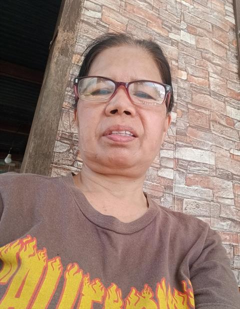 Elfy