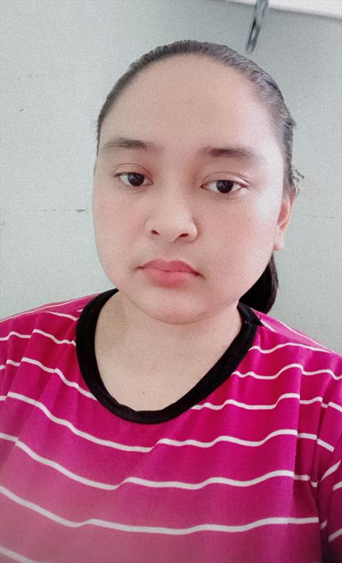 Lily_lilies