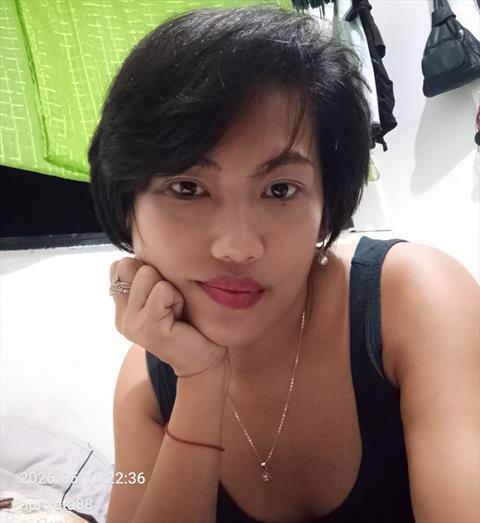 mel2488