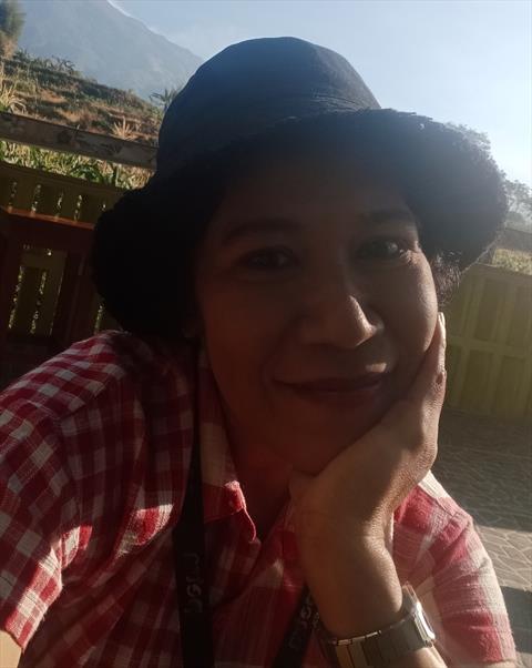 herlin