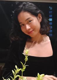 shaay
