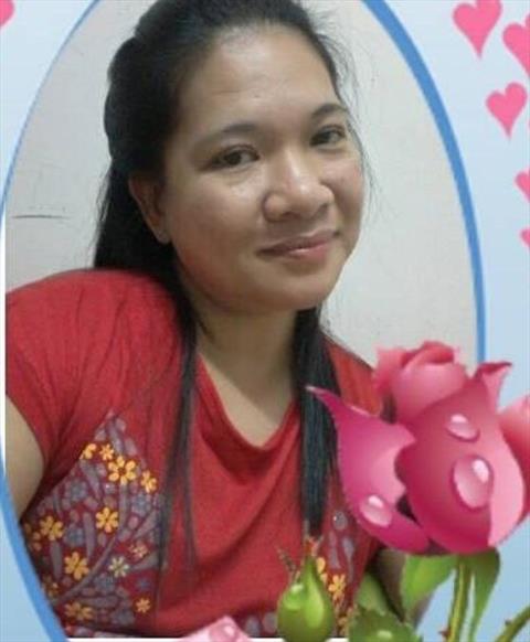 ellensupaganda gmail