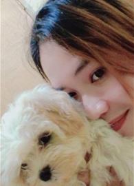 dazylyn