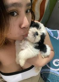 itsmejen_2001