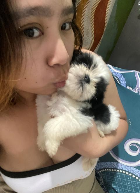 itsmejen_2001
