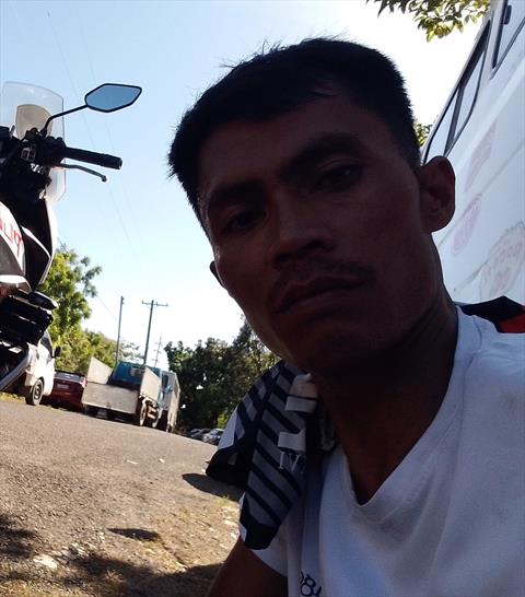 jiharey peliotas