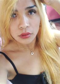 sofiehook