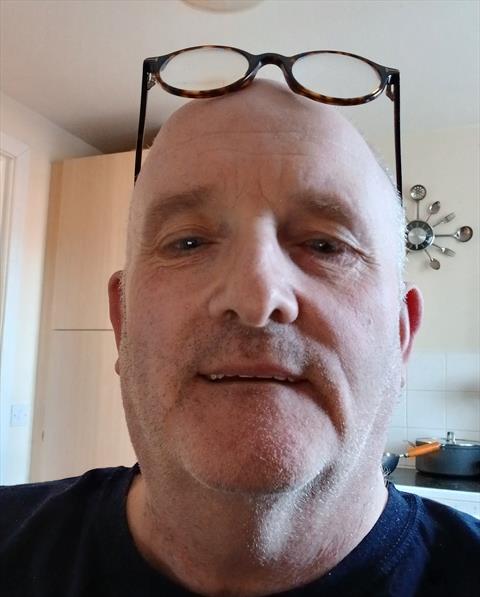 robert31