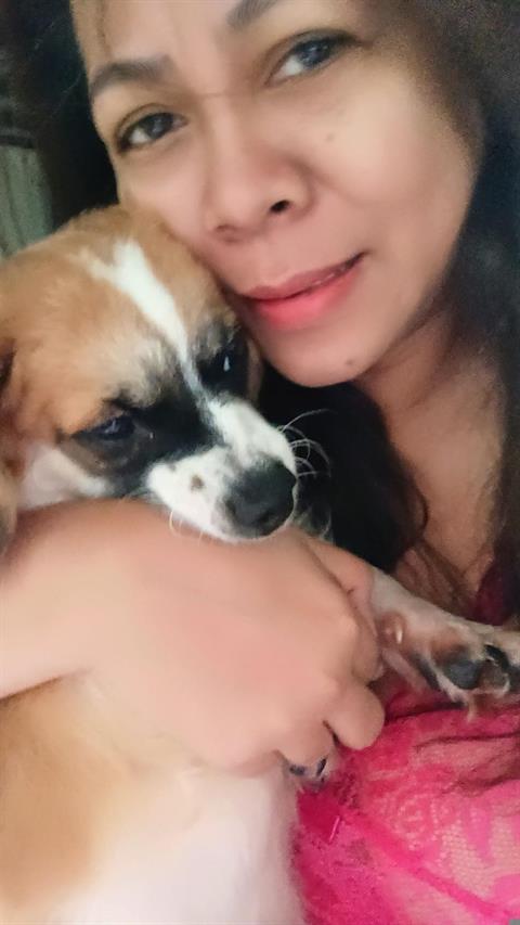 BamZee