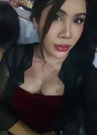 shane499
