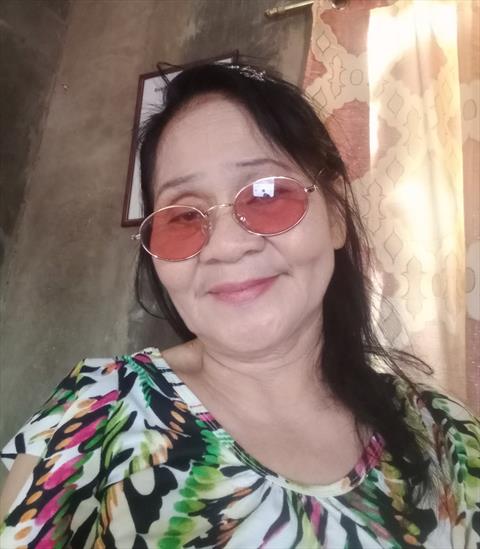fely70