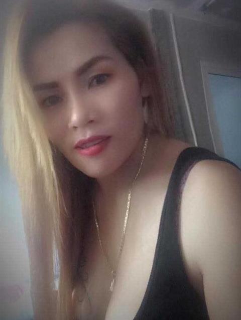 Rose aphitchaya