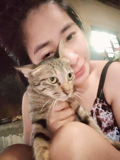 anabellah
