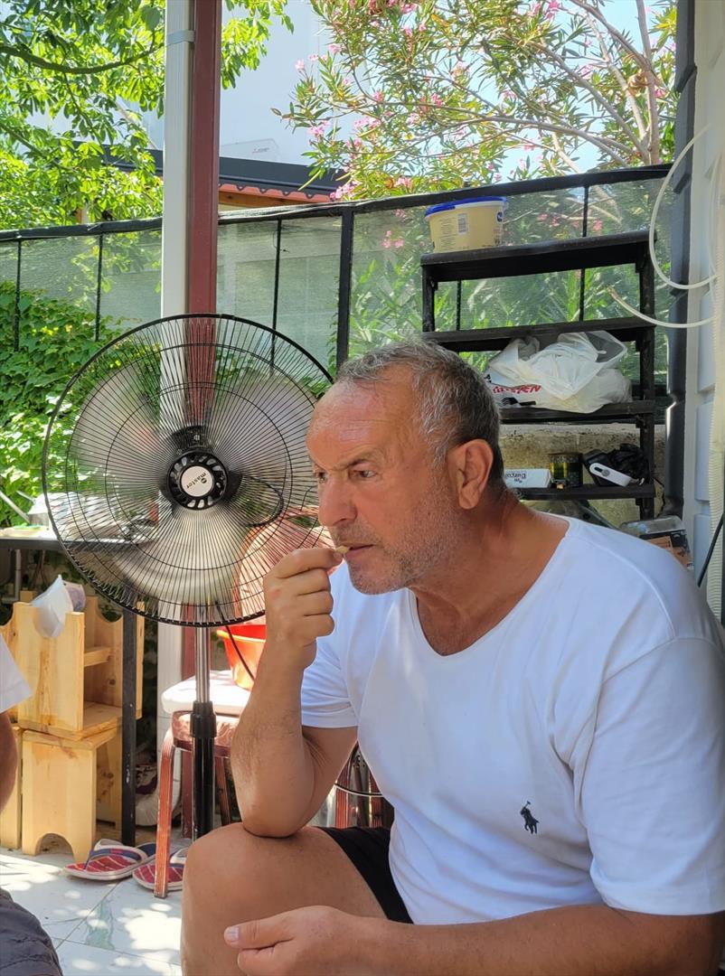 alper dogan