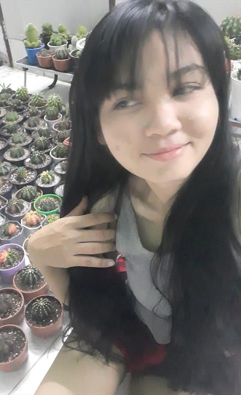 mooy