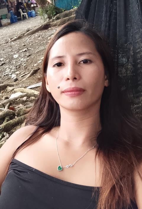 dareme