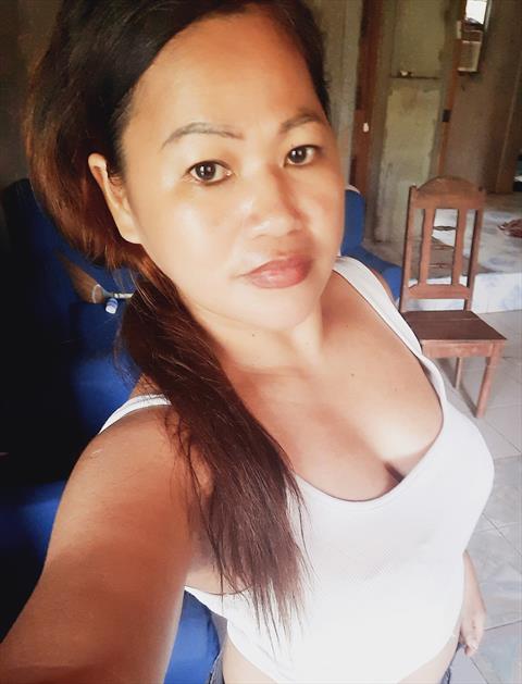trena123
