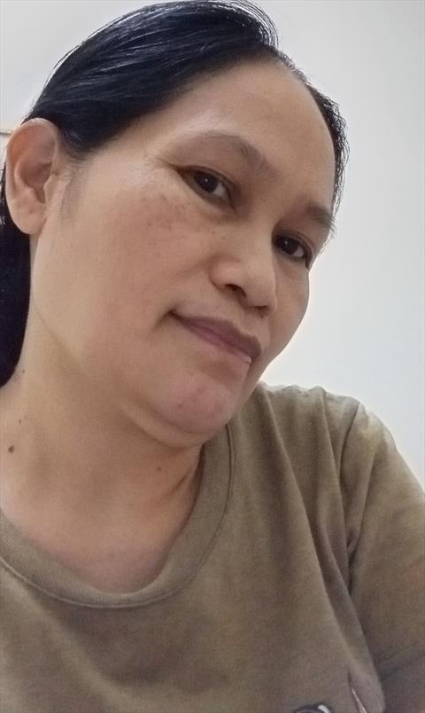 nelbet