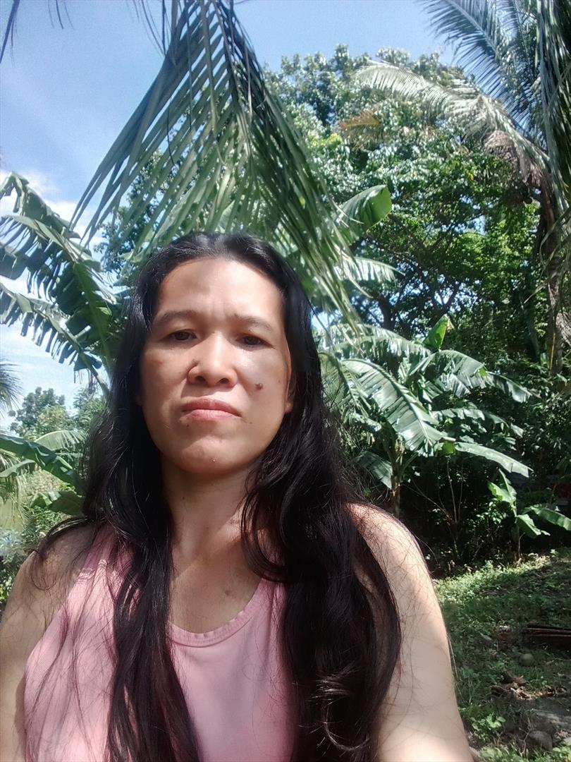 ydlai