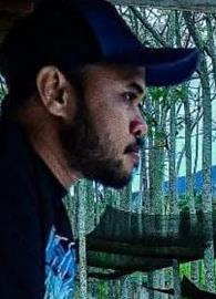 Averagejoe