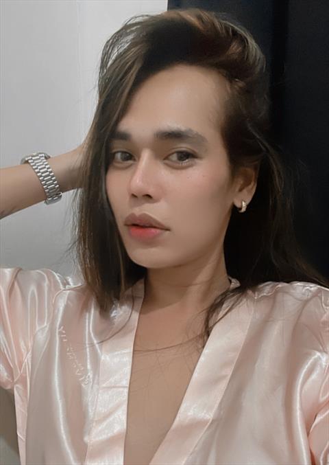 trans_khim