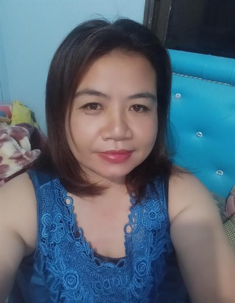 wangwi26p