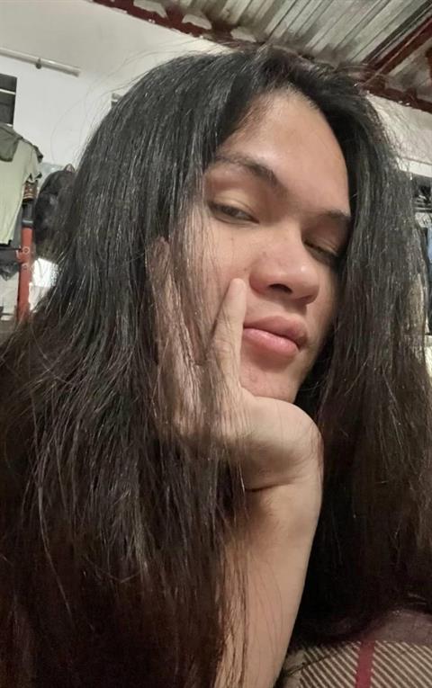 sheele