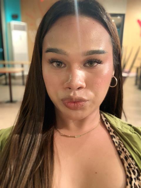 ustrans_sammy