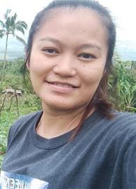 celge
