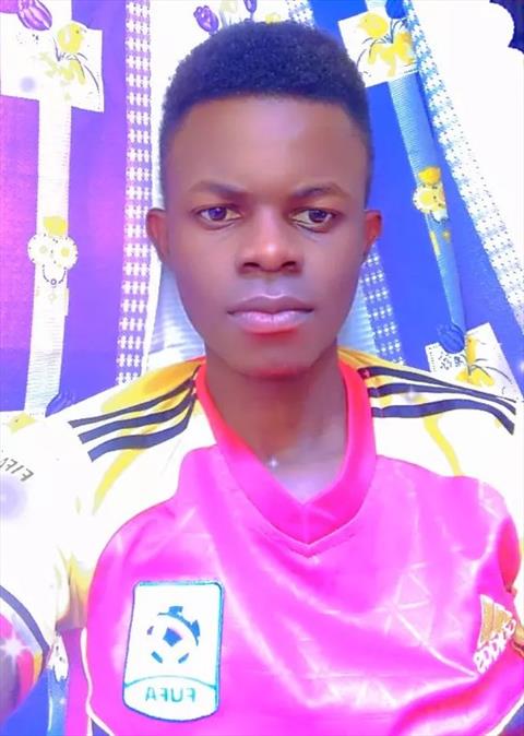 Jingo D