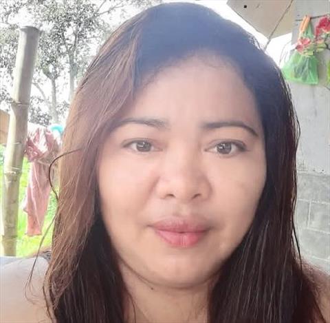 zabie 31