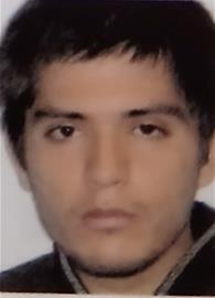 tortolito
