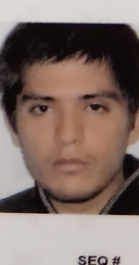 tortolito