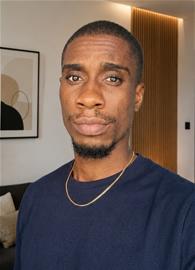 wisewills