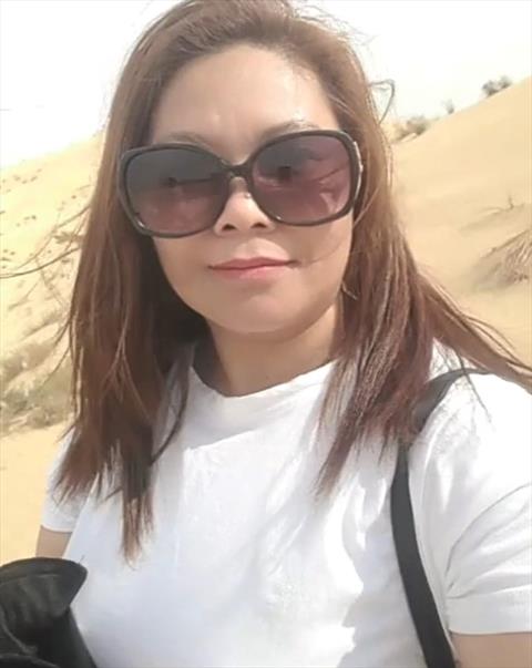 nesikha