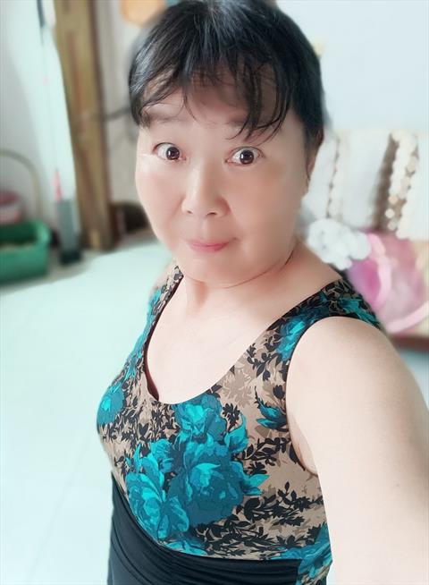 qicha