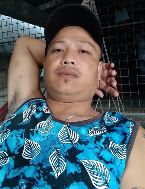 nester